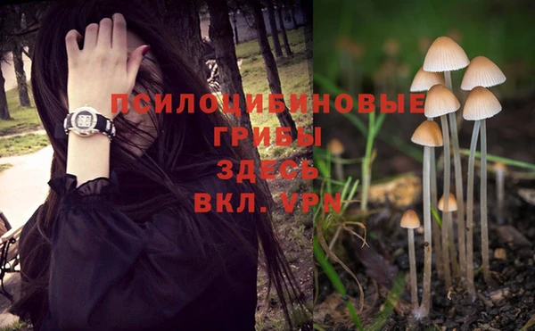 ALPHA PVP Балахна