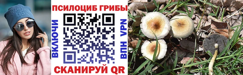 shop какой сайт  Зарайск  Галлюциногенные грибы MAGIC MUSHROOMS 